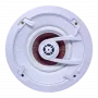 Потолочная акустика TruAudio G-71
